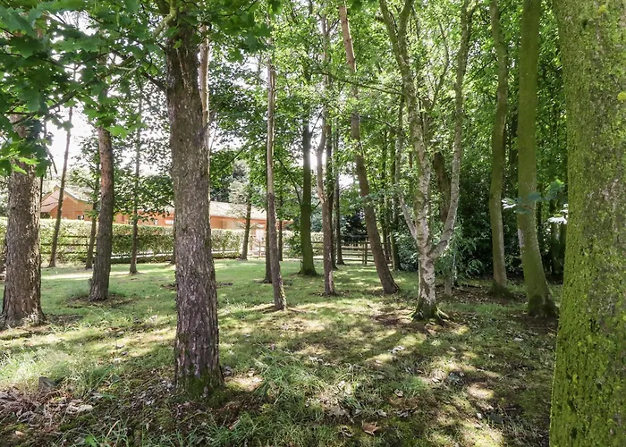 Washburn Semesterbostad